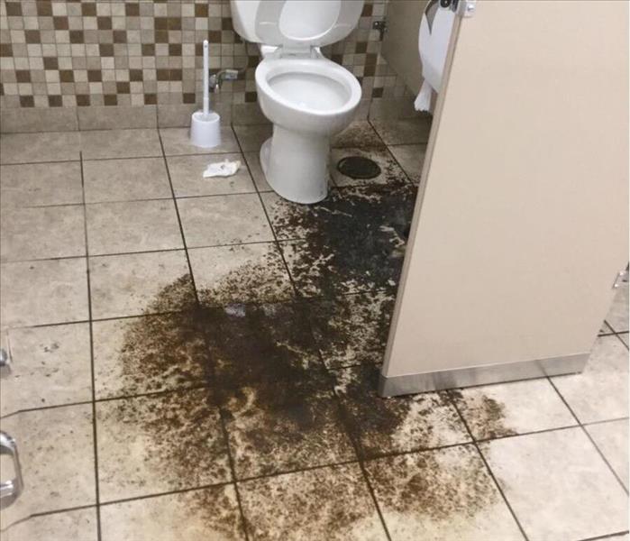 image of commercial restroom drain backup 